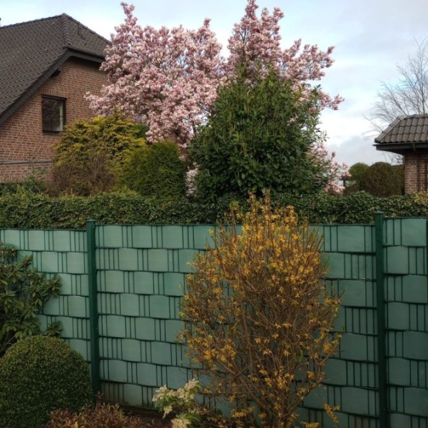 1726393257904-crop-1000015213