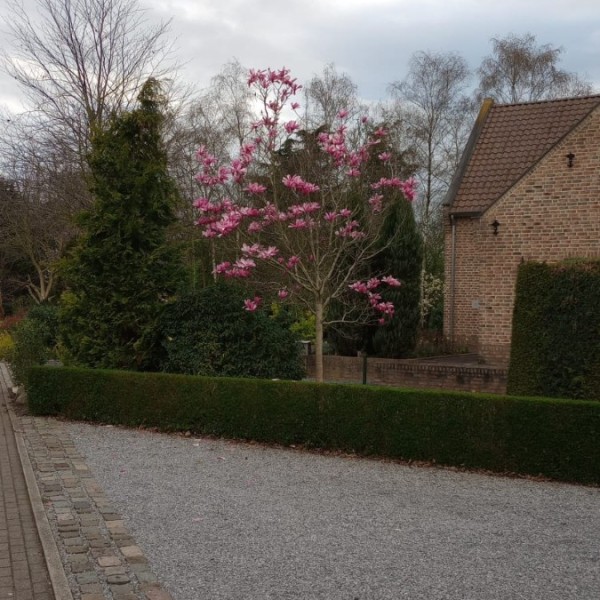 1726393808126-crop-1000015223