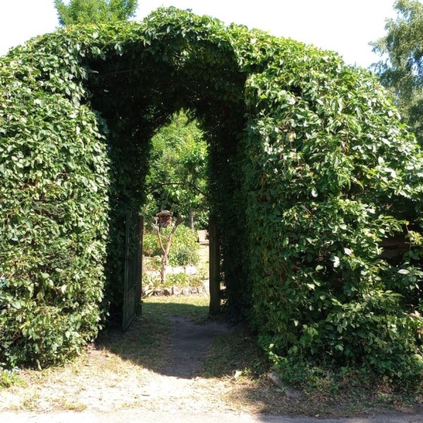 1726394118244-crop-1000015231