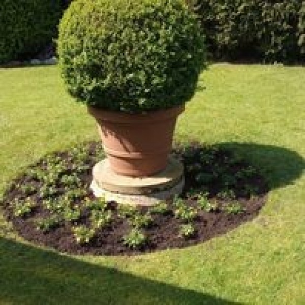 459706934_122095375970534852_3903250021079001491_n