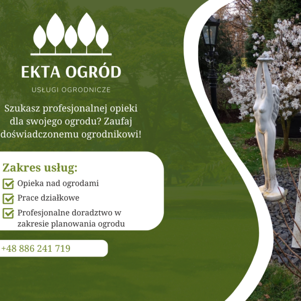 Make your lawn the envy of the neighbourhood with our professional lawn care services. (1)