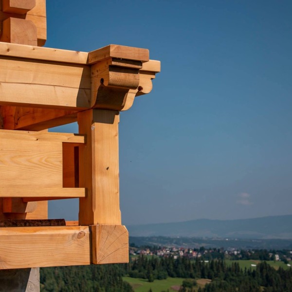 225430544_1772554062943203_2923903877106922568_n