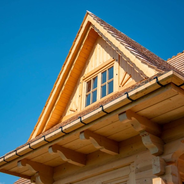 226066428_1772554189609857_7568334174796402875_n