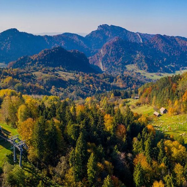 image_processing20220909-30260-ec3i0f