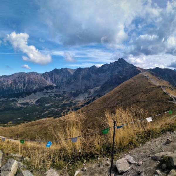 joanna-keister-yJkDit_n7TU-unsplash